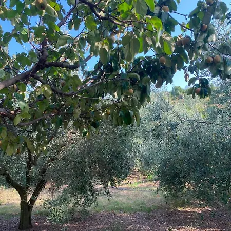 Nature Escape In An Albanian Village Near Tirana